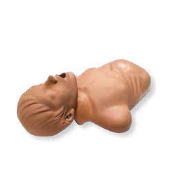 ZOLL AED Demo Manikin